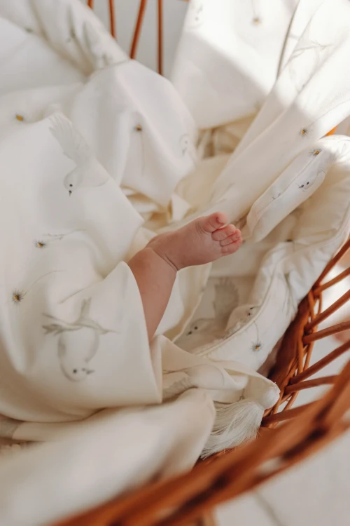 MAMUSHIE LIPIEC-153.webp