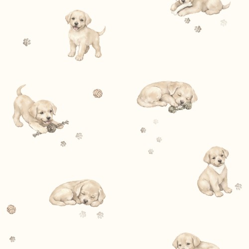 Labradorki nowa wersja.jpg